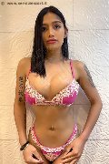 Foto Akita Trans Asiatica Trans Padova - 22