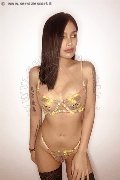 Foto Akita Trans Asiatica Trans Padova - 11
