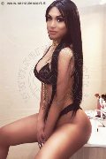 Foto Angel Bunny Trans Milano - 61