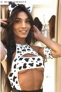 Foto Brunna Campanaro Trans San Benedetto Del Tronto - 100