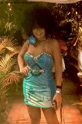 Foto Daysy Trans Gallarate - 8