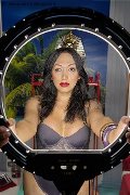 Foto Desirre Transescort Alessandria - 10