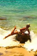 Foto Fragolina Sweet Trans Roma - 63