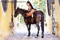 Foto Gabriella Xxl Brasile Trans Milano - 78