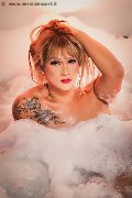 Foto Gaja Trans Ibiza - 87