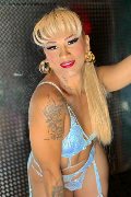 Foto Gaja Trans Ibiza - 47