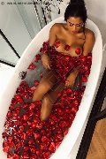 Foto Hot Violeta Trans Termoli - 2