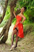 Foto Keylla Marques Pornostar Xxl Trans Fortaleza - 65