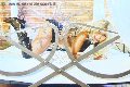 Foto Monica Kicelly Trans Rimini - 26