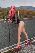 Foto Nady Trans Vicenza - 103