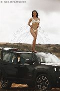 Foto Vanessa Hilton Trans Modena - 112