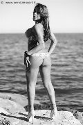 Foto Alessandra Toledo Pornostar Trans Rimini - 96