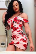 Foto Dior Trans Genova - 526