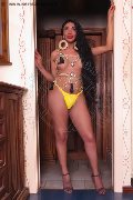 Foto Tain� Oliveira Trans Prato - 59