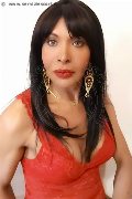 Foto Tain� Oliveira Trans Prato - 51